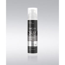 Load image into Gallery viewer, high fashion vibrant hair colour silver